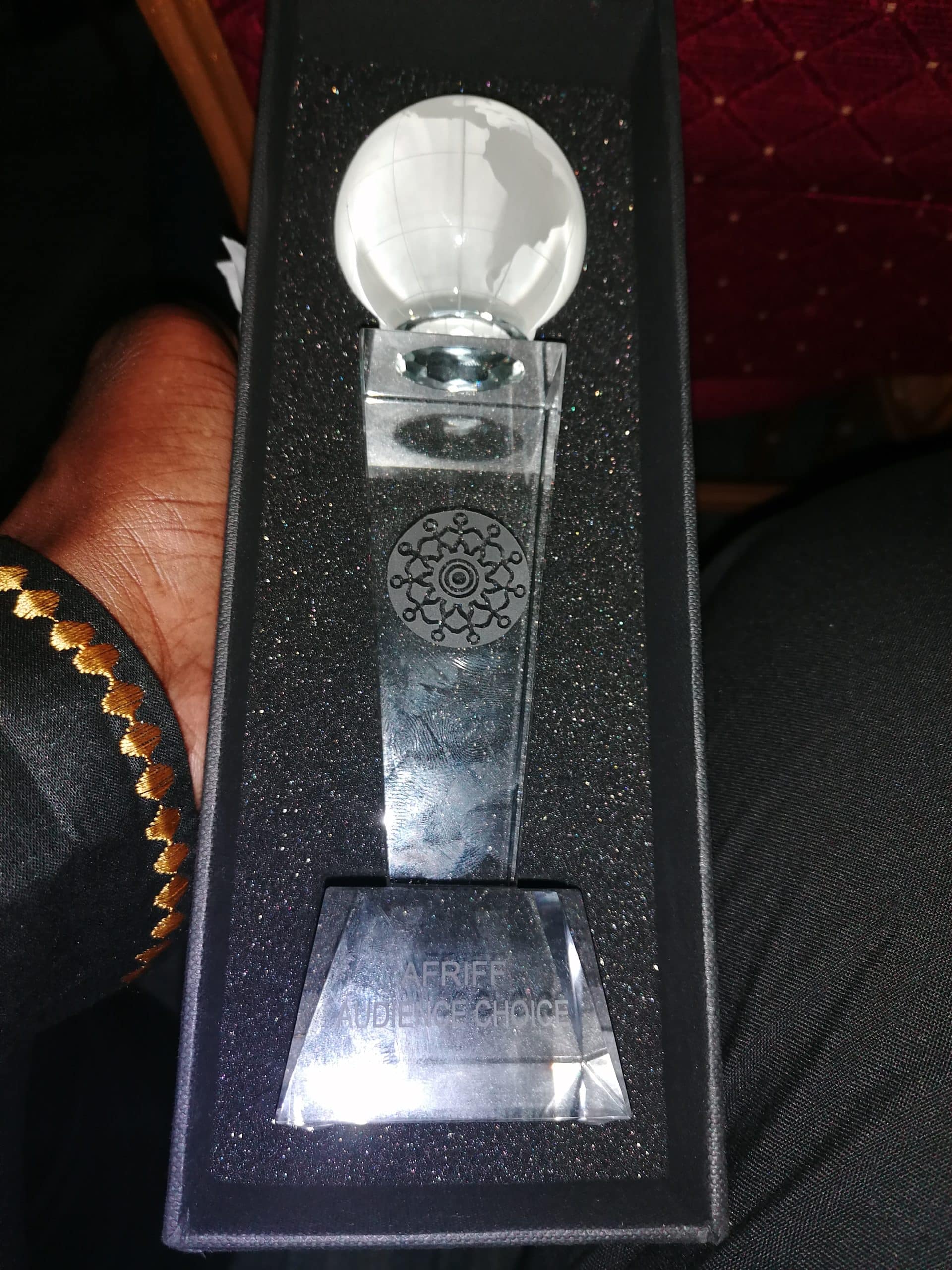 -The 9th African International Film Festival awards 4